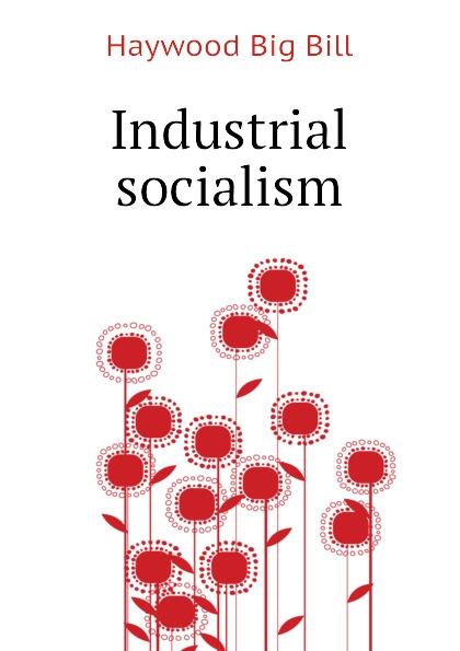 Industrial socialism