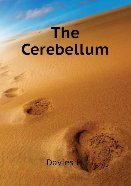 The Cerebellum