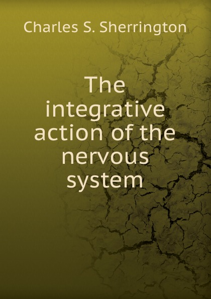 The integrative action of the nervous system