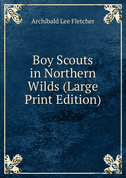 Boy Scouts in Northern Wilds (Large Print Edition)