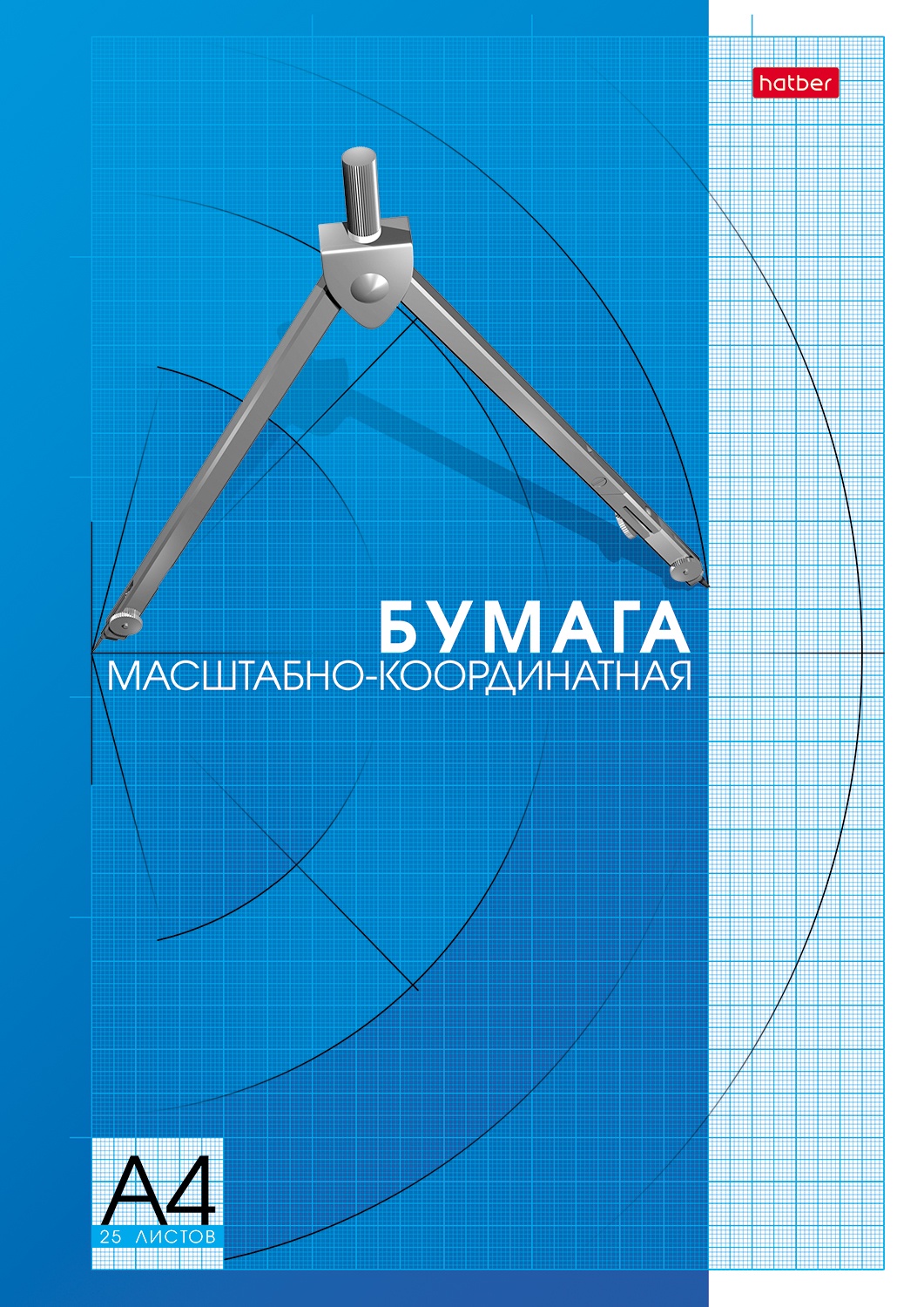 Наборбумагимасштабно-координатнойHatber25листов,форматА4,голубаясетка