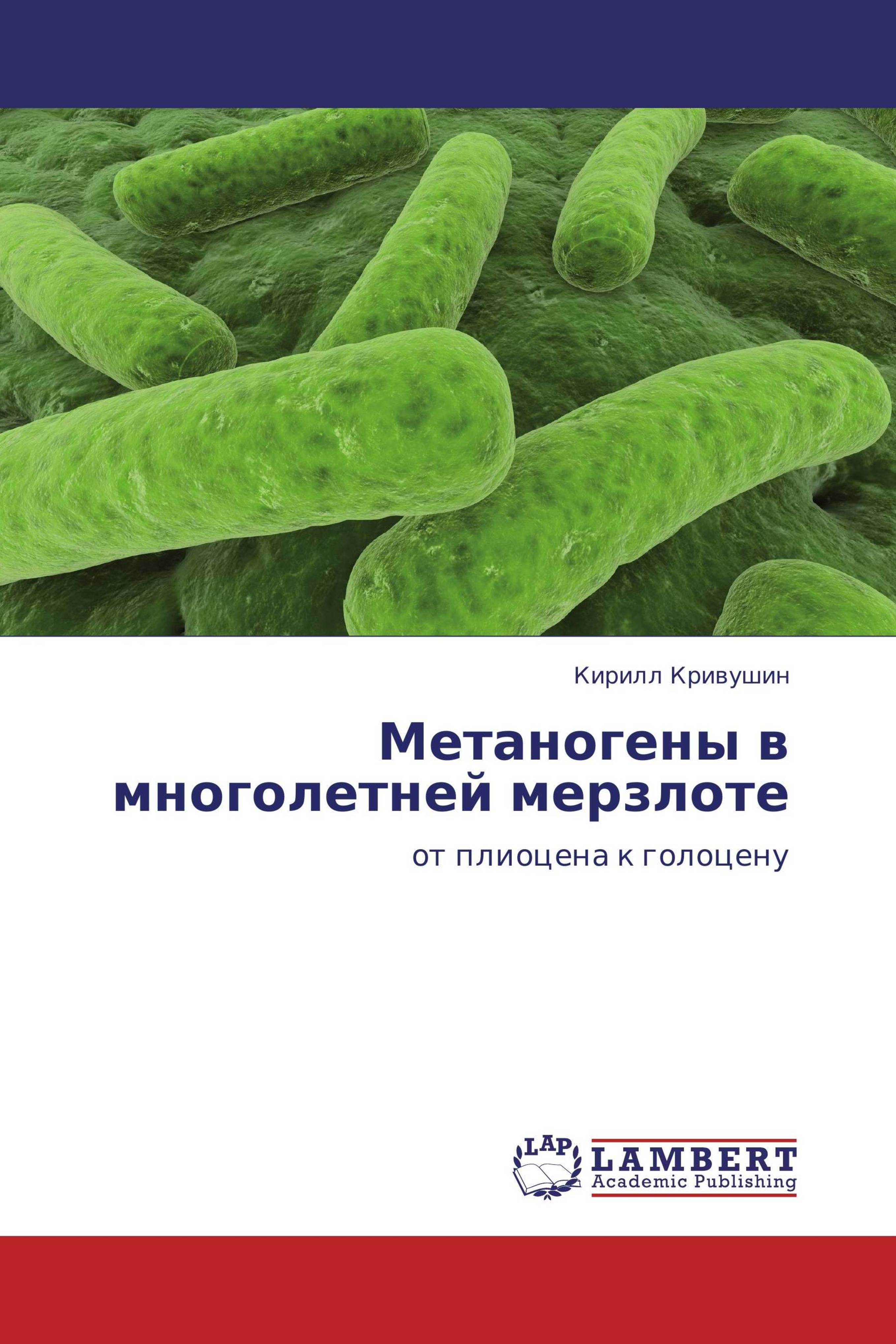 Метаногены. Археи метаногены. Метаногены способ питания. Метаногены фото.