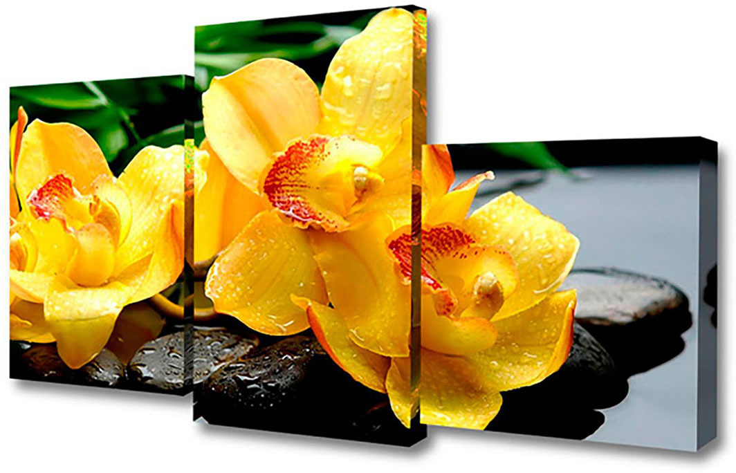фото Картина Topposters Желтые орхидеи на камнях, модульная, 886651, 80 х 50 см