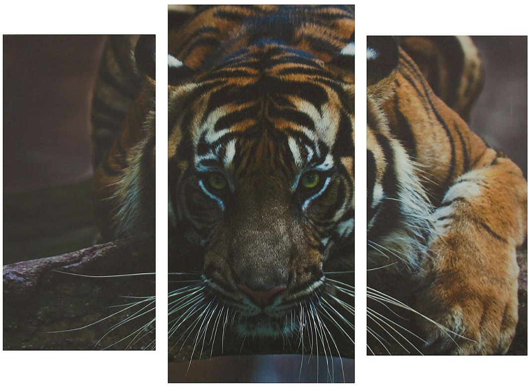 фото Картина Сюжет "Тигр", модульная, 1259771, 60 х 100 см