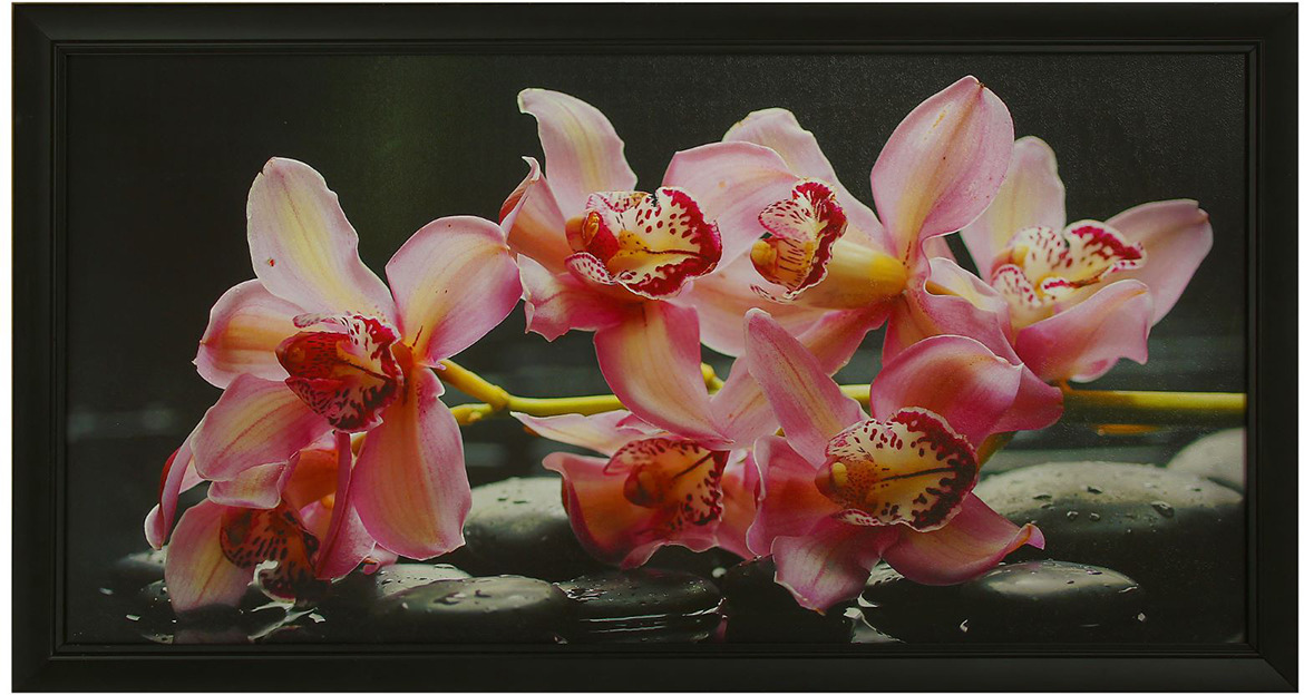 фото Картина Розовые орхидеи, 1328371, 57 х 107 см