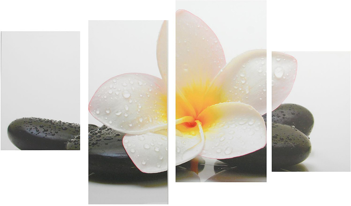 фото Картина Сюжет "Белый цветок у камней", модульная, 1658361, 130 х 80 см