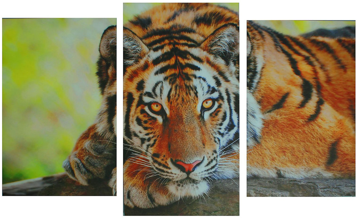 фото Картина Сюжет "Тигр", модульная, 1722608, 100 х 60 см