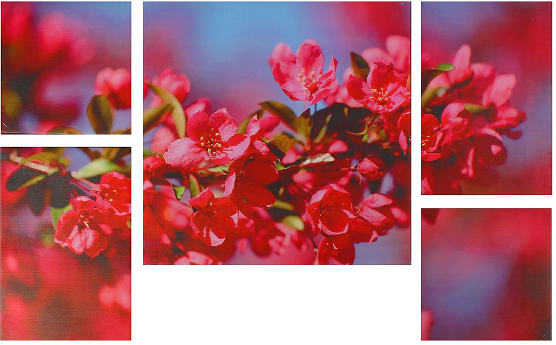 фото Картина Цветы яблони, модульная, 1874082, 80 х 50 см