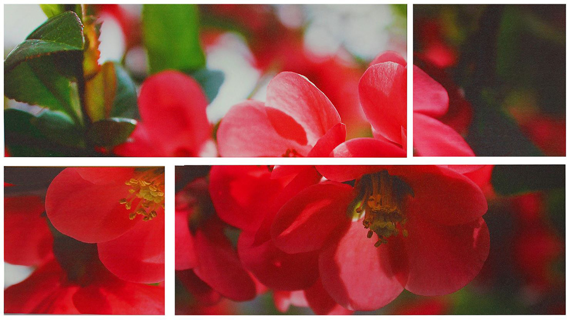 фото Картина Художественная мастерская Палитра "Яблоневые цветы", модульная, 1877066, 60 х 105 см Художественная мастерская «палитра»