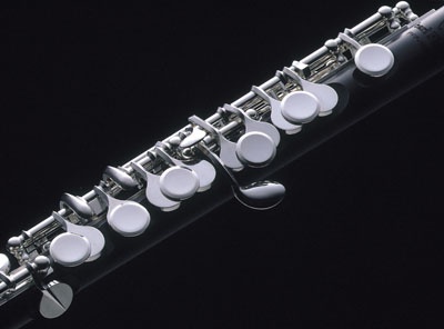 фото Флейта Pearl Flutes PFP-105ES