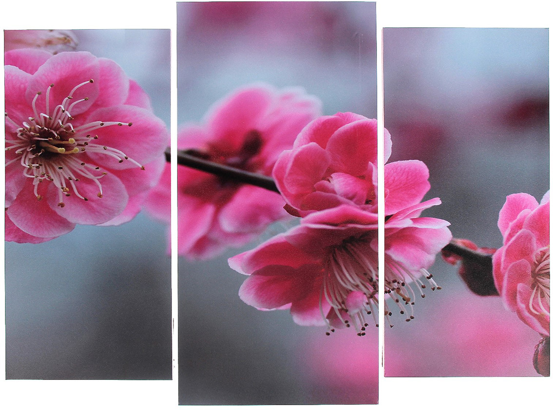 фото Картина Цветы сакуры, модульная, 3981602, 60 х 80 см