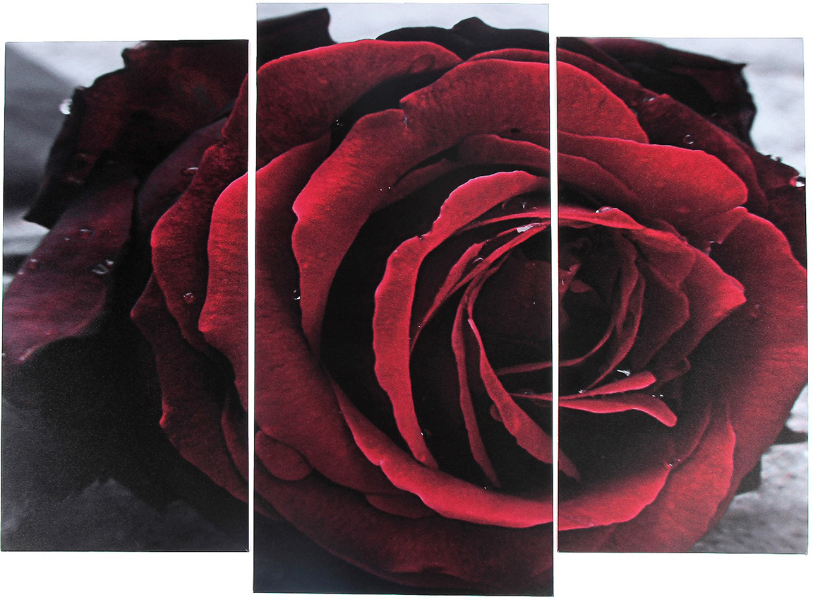 фото Картина Бутон алой розы, модульная, 3981635, 60 х 80 см