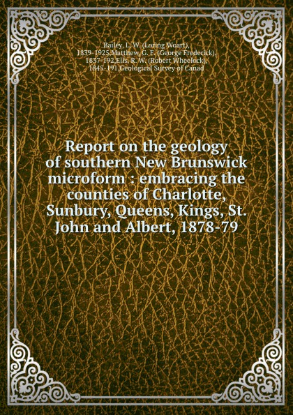 Report on the geology of southern New Brunswick microform : embracing the counties of Charlotte, Sunbury, Queens, Kings, St. John and Albert, 1878-79