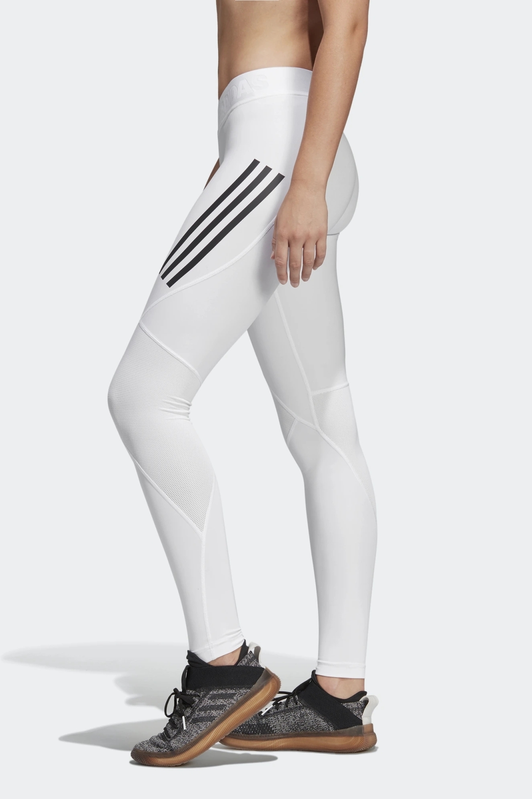 фото Тайтсы adidas