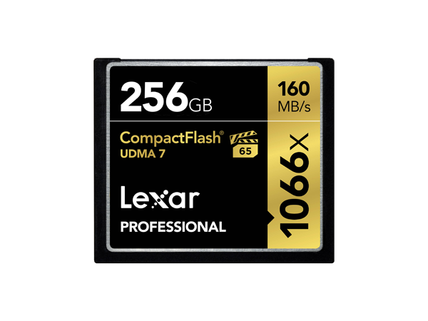 фото Карта памяти Lexar Compact Flash 256GB (1066x)