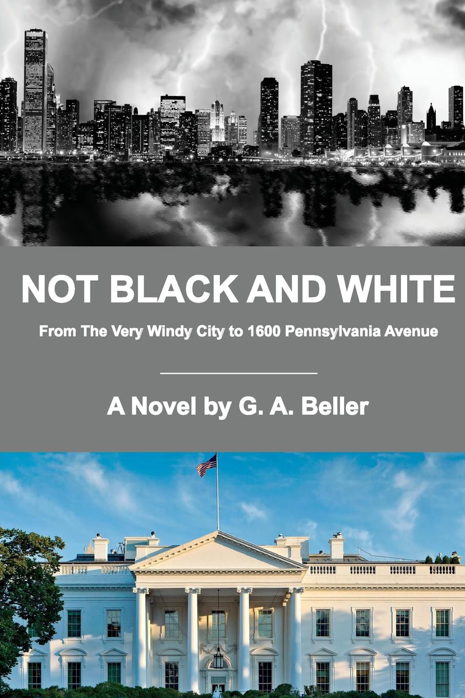 фото Not Black and White. From The Very Windy City to 1600 Pennsylvania Avenue