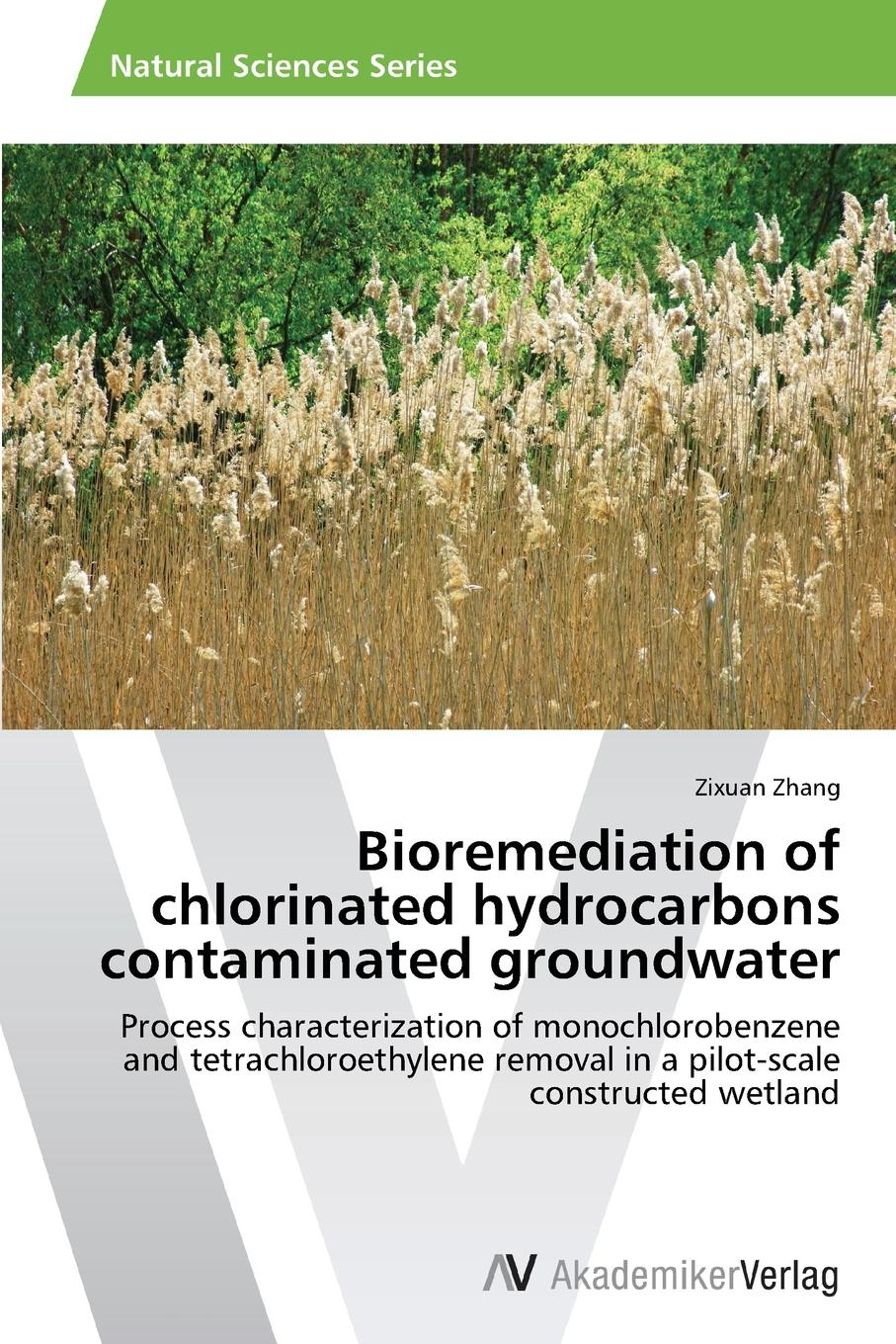 Zhang Zixuan Bioremediation of Chlorinated Hydrocarbons Contaminated Groundwater isotope