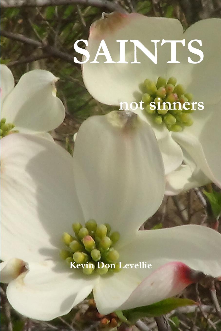 Kevin Don Levellie SAINTS not sinners