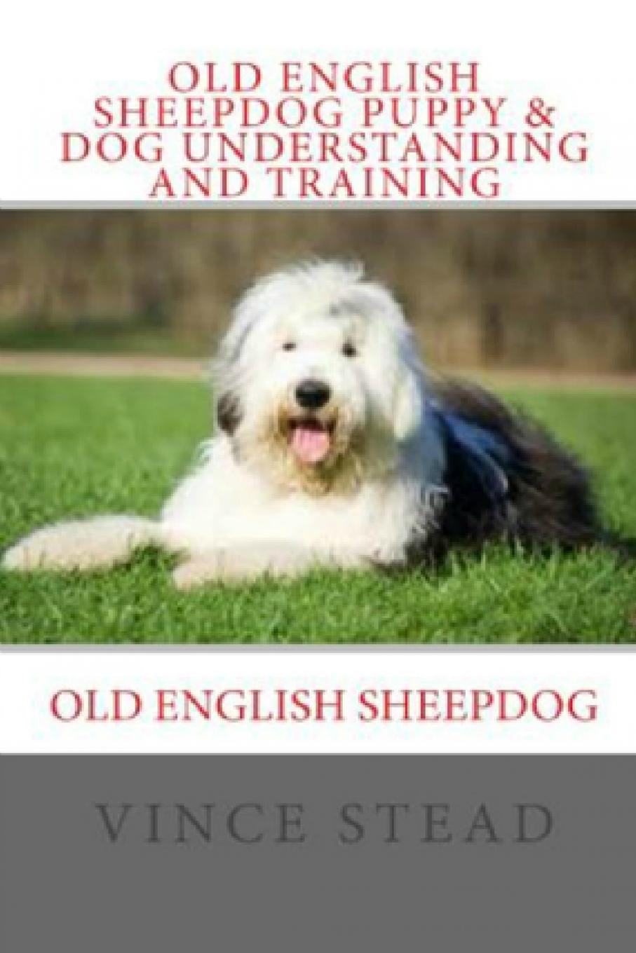 Vince Stead Old English Sheepdog Puppy . Dog Understanding and Training vince stead old english sheepdog puppy dog understanding and training