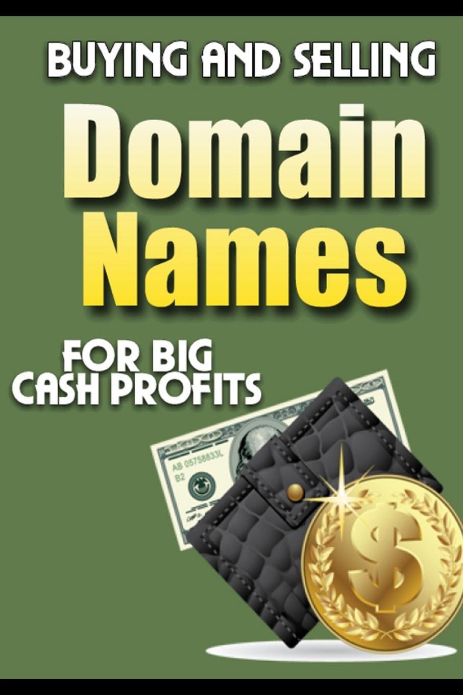 Buying and Selling Domain Names -  for Big Cash Profits