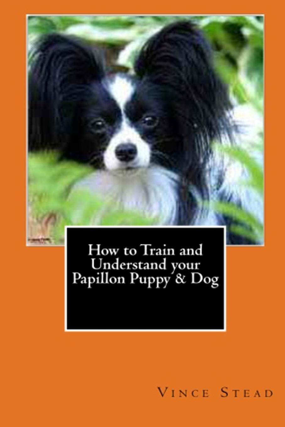 Vince Stead How to Train and Understand your Papillon Puppy . Dog