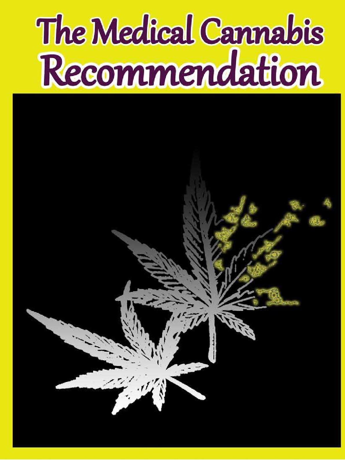 THE MEDICAL CANNABIS RECOMMENDATION. AN INTEGRAL EXPLORATION OF DOCTOR-PATIENT EXPERIENCES