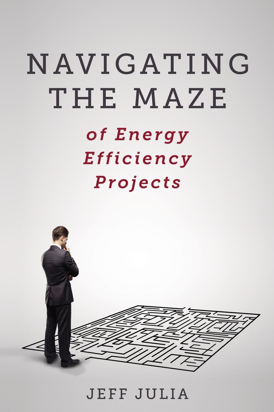 фото Navigating the Maze. of Energy Efficiency Projects