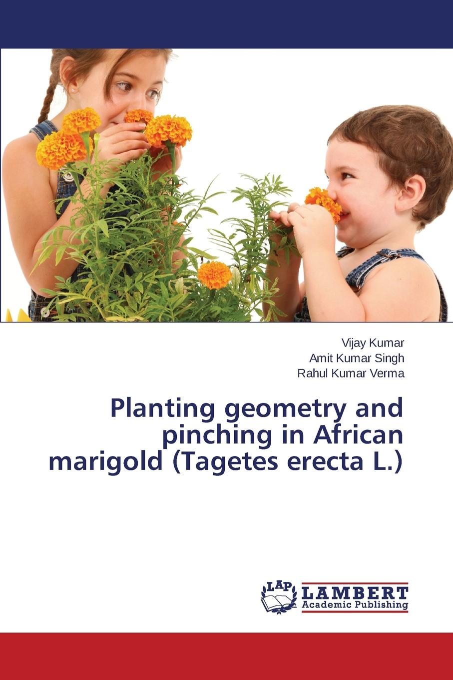 Planting Geometry and Pinching in African Marigold (Tagetes Erecta L.)