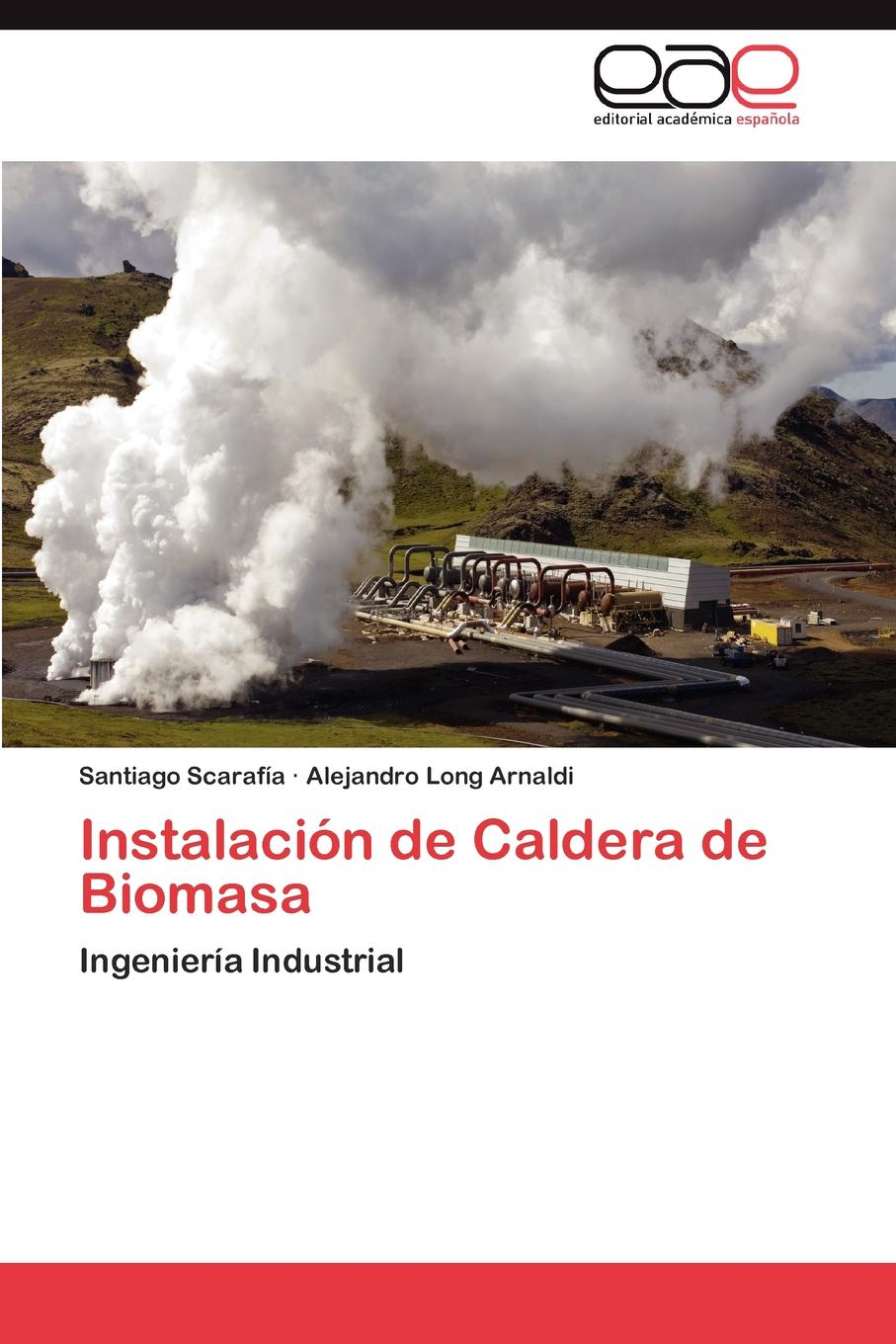 Instalacion de Caldera de Biomasa