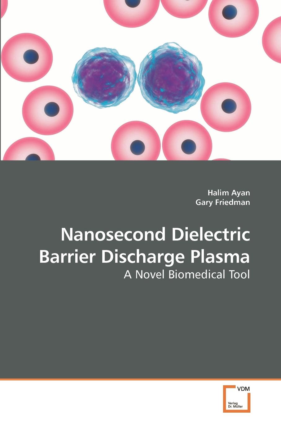Halim Ayan Nanosecond Dielectric Barrier Discharge Plasma