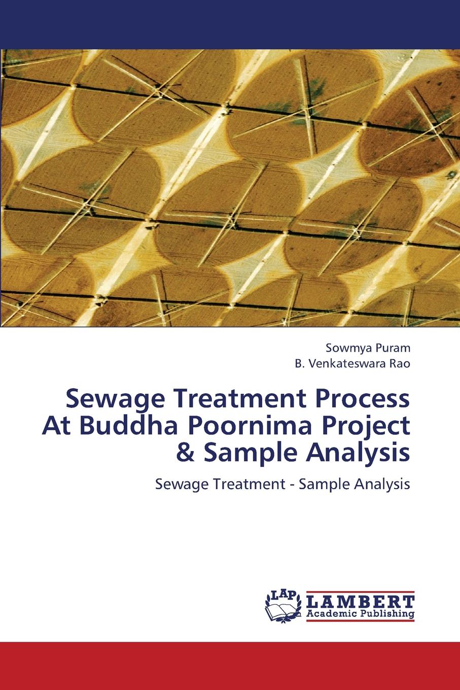 Sewage Treatment Process At Buddha Poornima Project . Sample Analysis