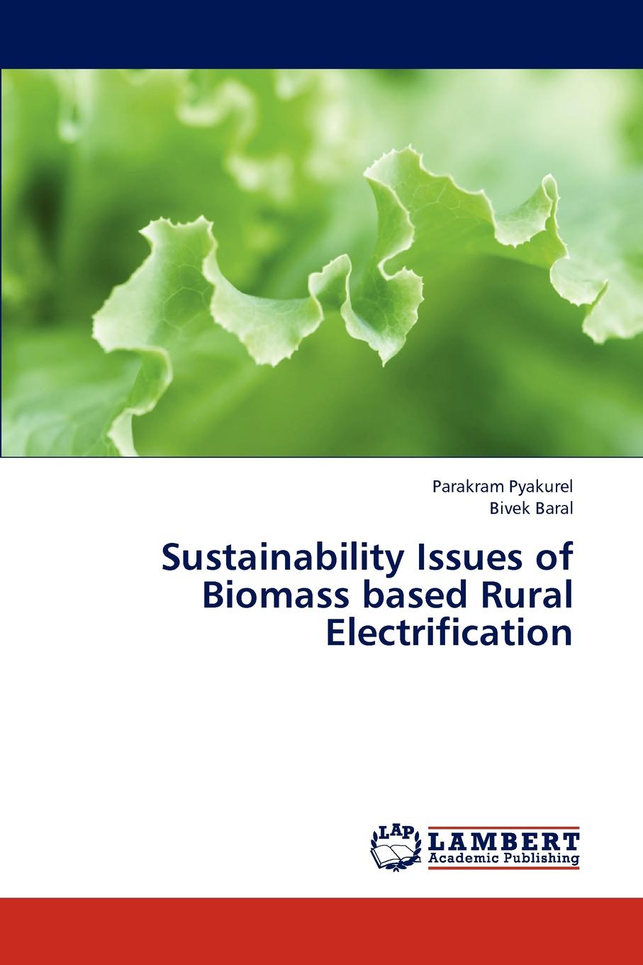 Pyakurel Parakram, Baral Bivek Sustainability Issues of Biomass Based Rural Electrification Pyakurel Parakram, Baral Bivek Sustainability Issues of Biomass Based Rural Electrification