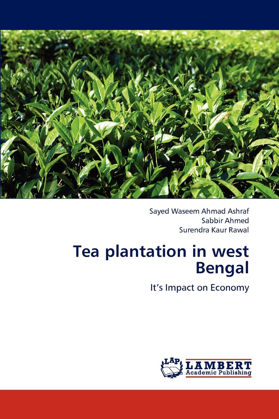 Tea Plantation in West Bengal
