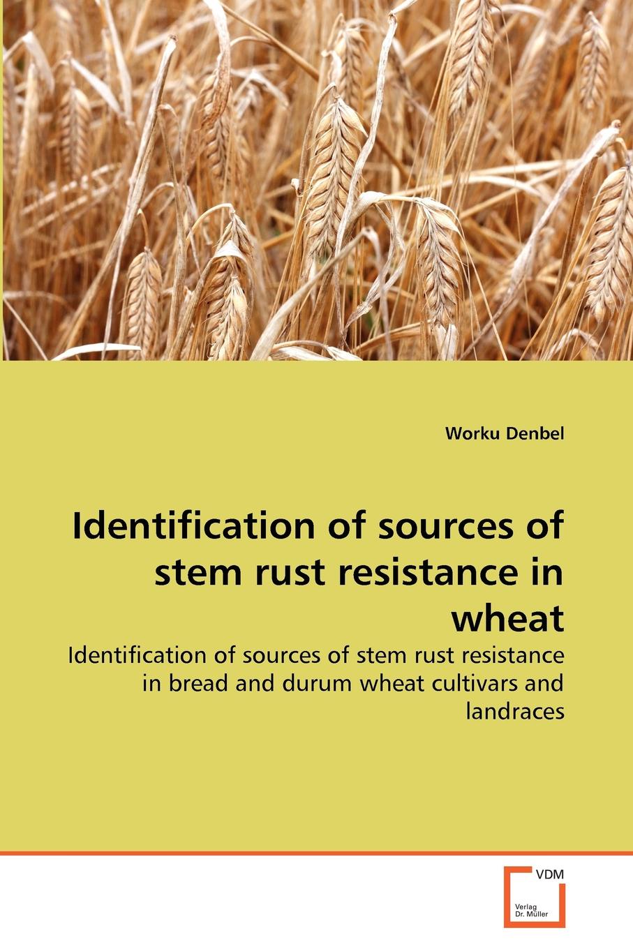 Stem rust in wheat (120) фото