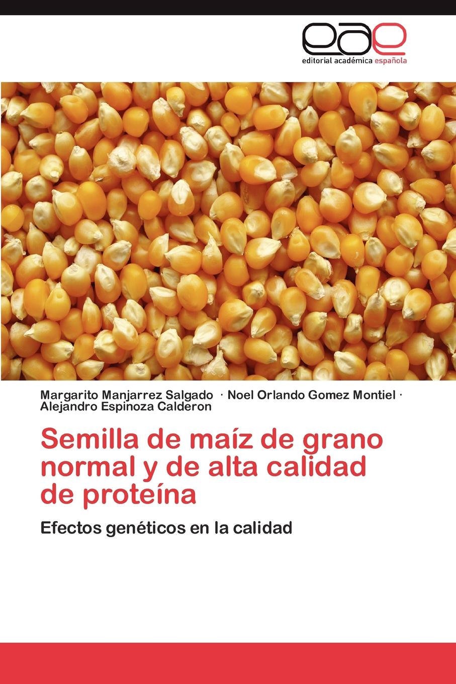 Semilla de Maiz de Grano Normal y de Alta Calidad de Proteina