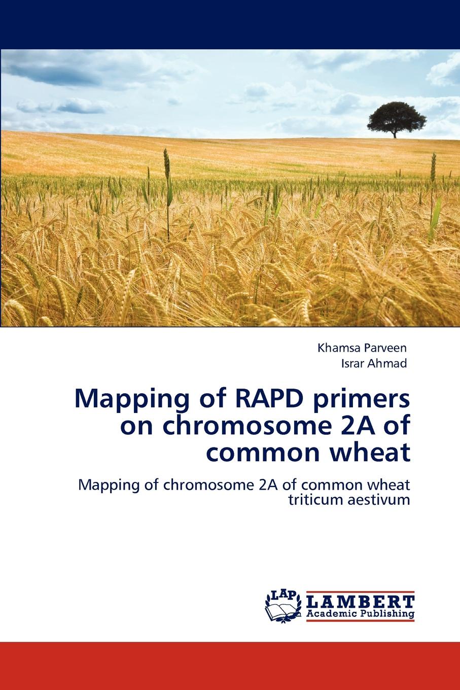 фото Mapping of RAPD primers on chromosome 2A of common wheat