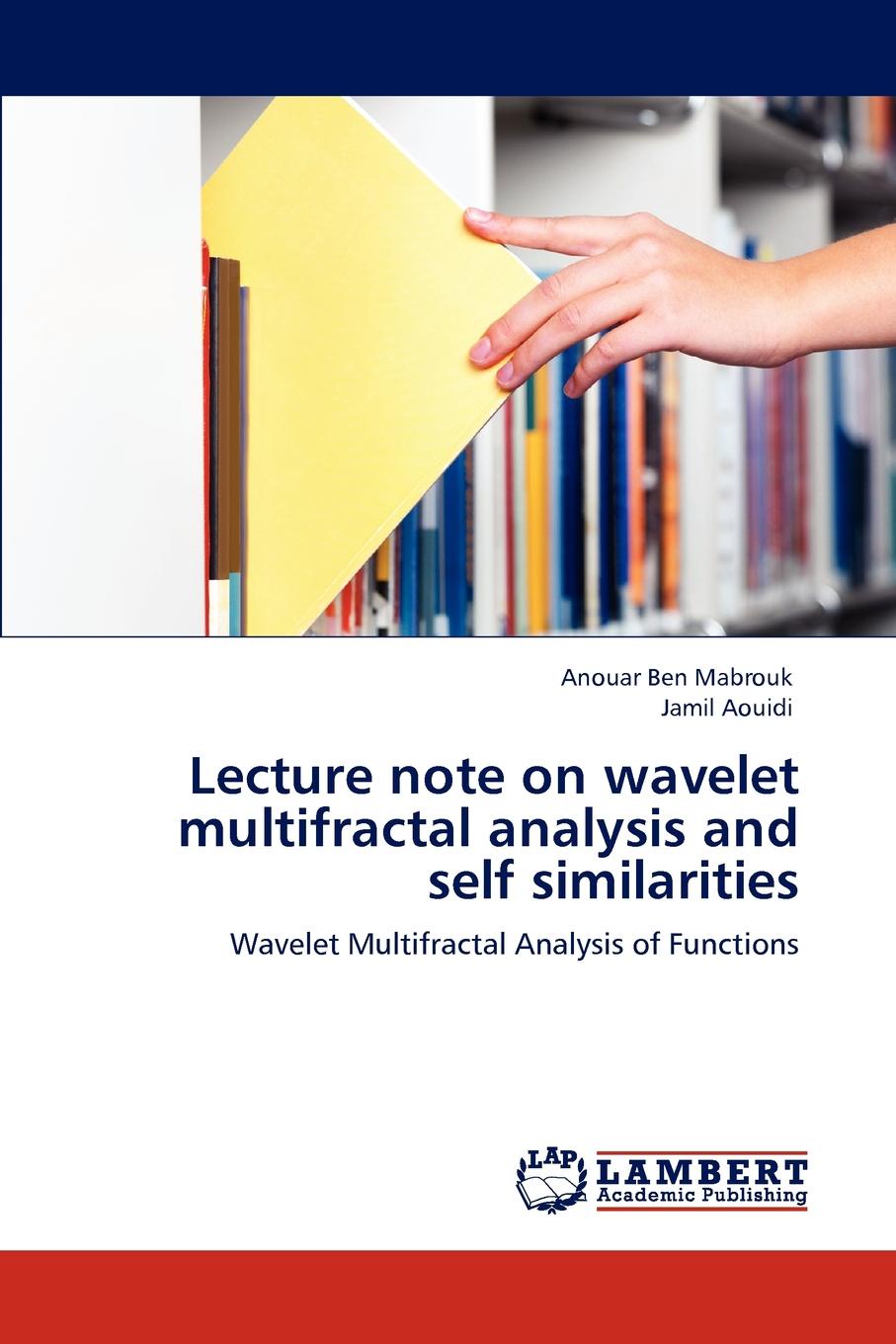 Lecture note on wavelet multifractal analysis and self similarities