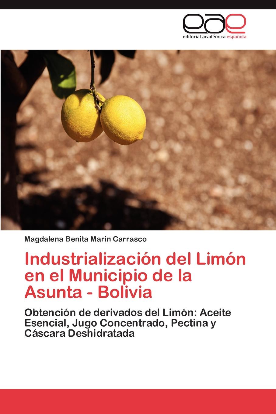 фото Industrializacion del Limon En El Municipio de La Asunta - Bolivia