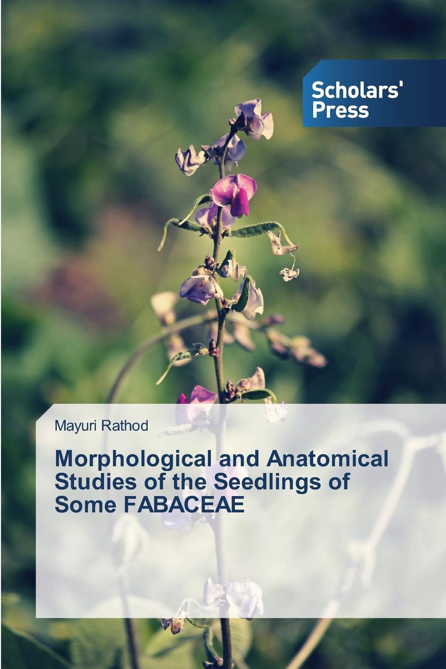 фото Morphological and Anatomical Studies of the Seedlings of Some FABACEAE