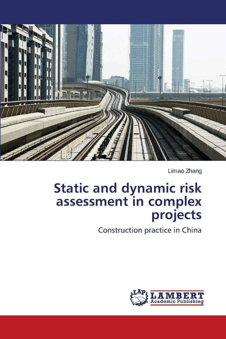 Static and dynamic risk assessment in complex projects