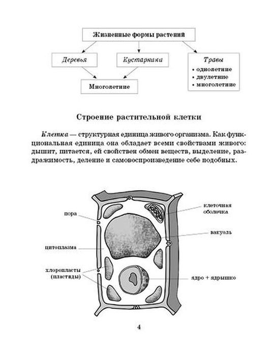 фото Справочник школьника по биологии 6-11 классы