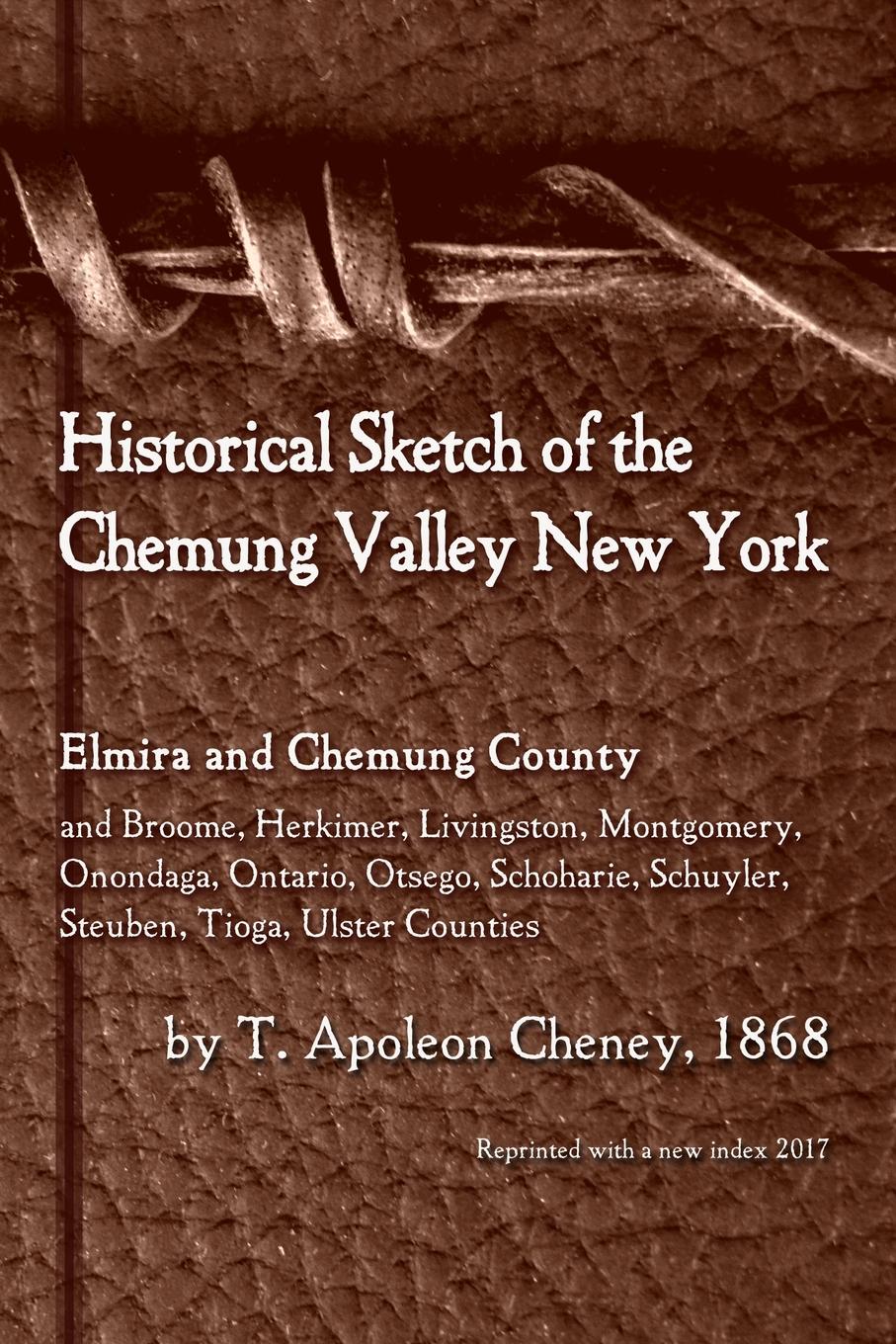 T. Apoleon Cheney Historical Sketch of the Chemung Valley, New York. Elmira and Chemung County, and Broome, Herkimer, Livingston, Montgomery, Onondaga, Ontario, Otsego, Schoharie, Schuyler, Steuben, Tioga, Ulster Counties
