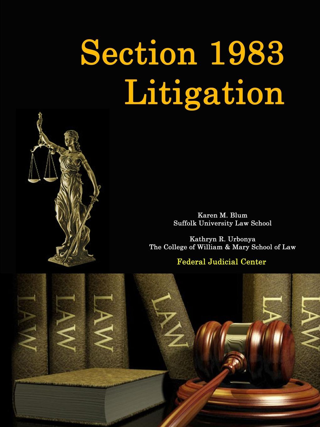 фото Section 1983 Litigation