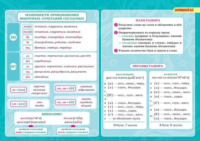 Виды разборов слов. Разборы по русскому языку. Виды разборов в русском языке. Разборы в русском я хыке. Все разборы в русском языке.