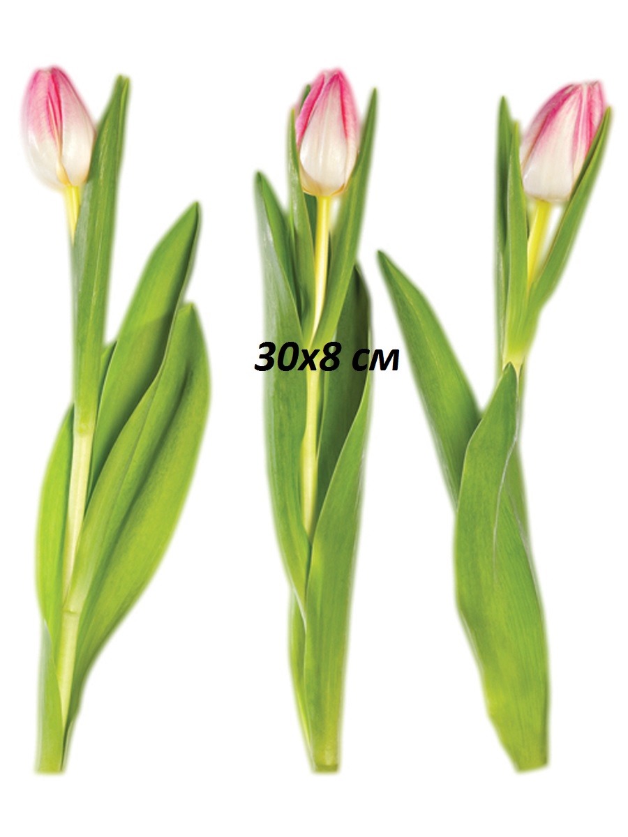 фото Наклейка для декора Тюльпаны розовые маленькие Decoretto