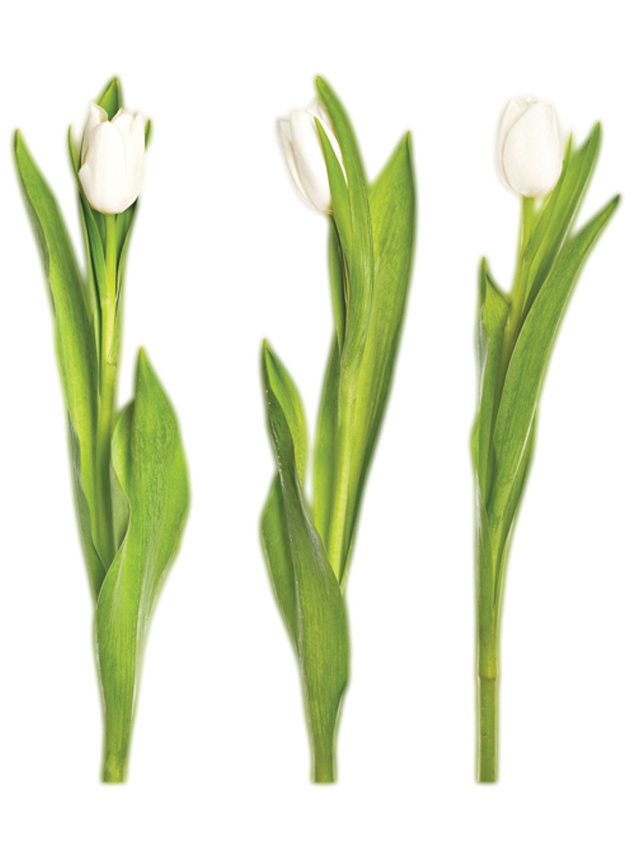 фото Наклейка для декора Тюльпаны белые маленькие Decoretto