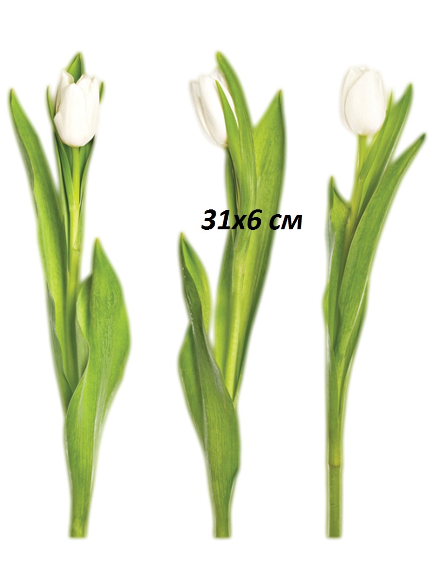 фото Наклейка для декора Тюльпаны белые маленькие Decoretto