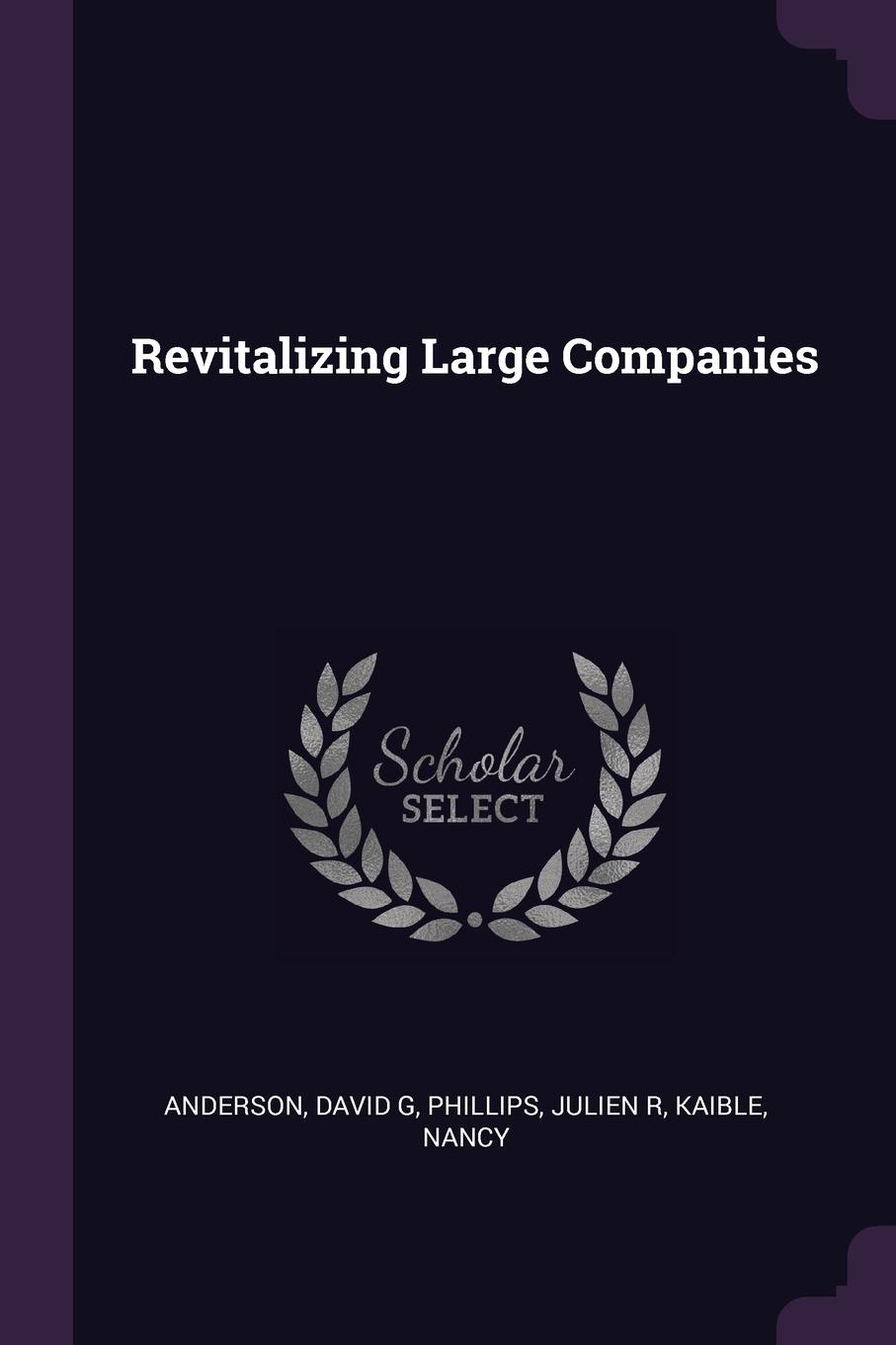 Revitalizing Large Companies