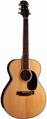 Акустическая гитара Peerless Archtop & Acoustic PGA-50