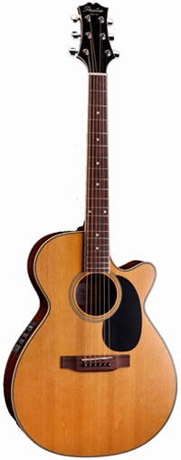 Электро-акустическая гитара Peerless Archtop & Acoustic PGA-50CE